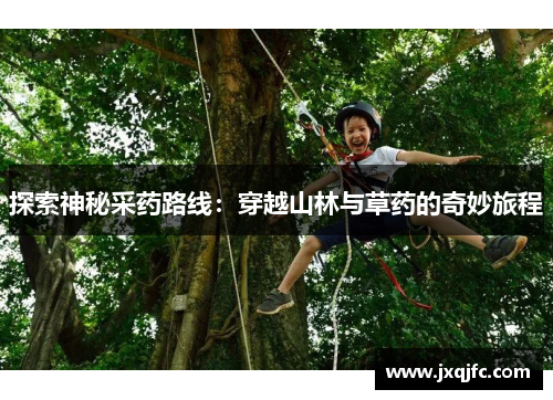 探索神秘采药路线:穿越山林与草药的奇妙旅程